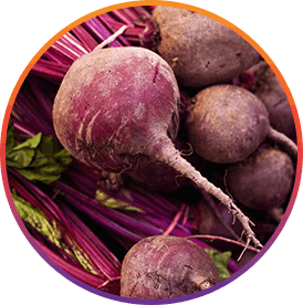 ResveraBurn Ingredients